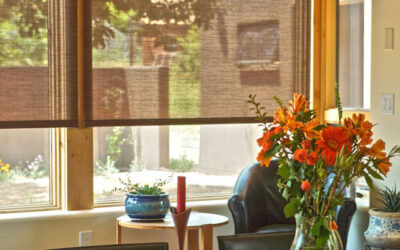 Interior Screens for Sun Protection